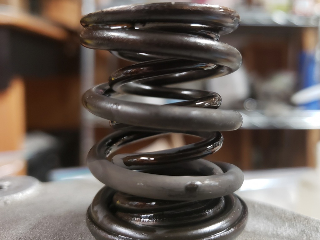 Timing Side Valve Springs